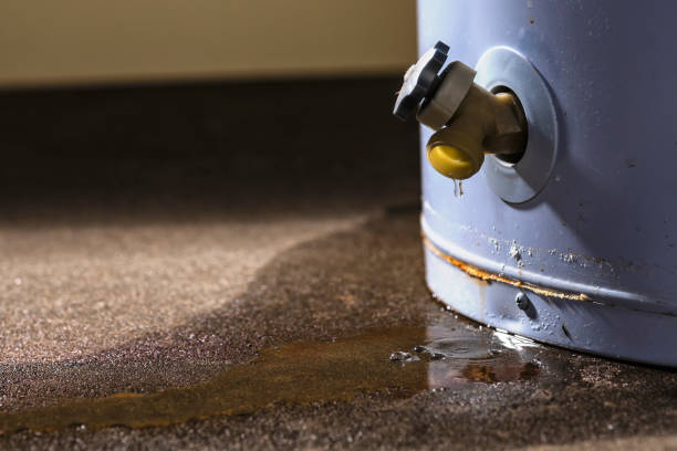 Best Water damage restoration insurance claims  in Whitesburg, KY