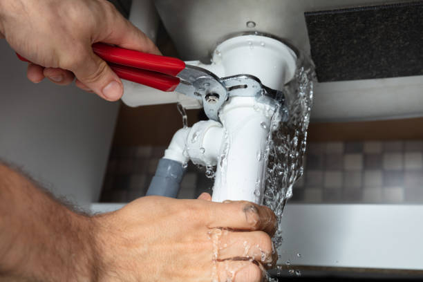 Best Local water damage restoration  in Whitesburg, KY