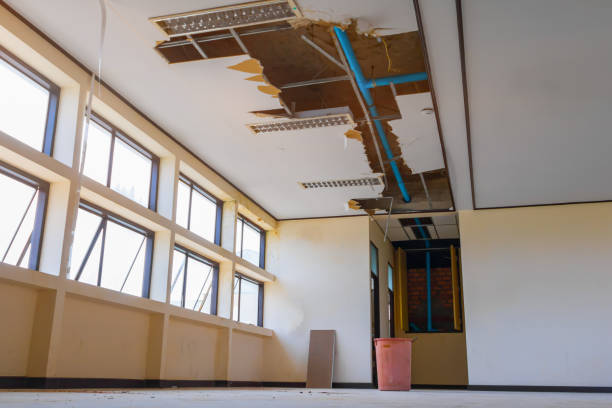 Best Flood restoration services  in Whitesburg, KY