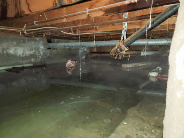 Water damage restoration experts in KY