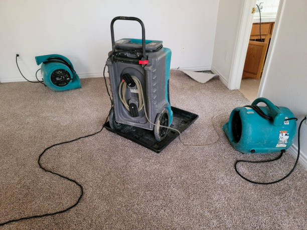 Best Carpet water damage restoration  in Whitesburg, KY