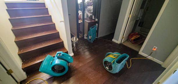 Best Fire Damage Restoration  in Whitesburg, KY