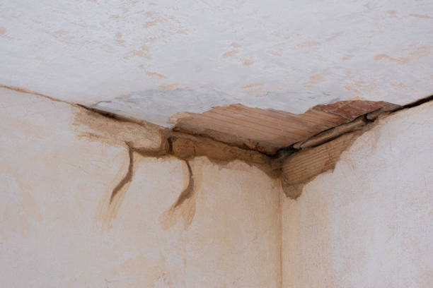 Best Flood damage cleanup  in Whitesburg, KY