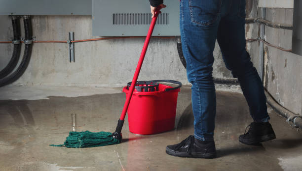 Best Water damage cleanup near me  in Whitesburg, KY
