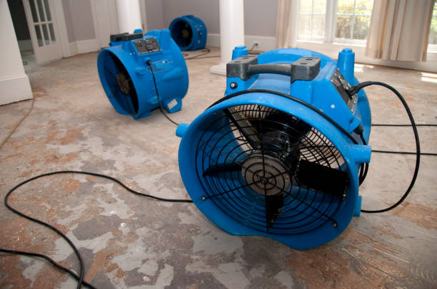 Best Ceiling water damage repair  in Whitesburg, KY