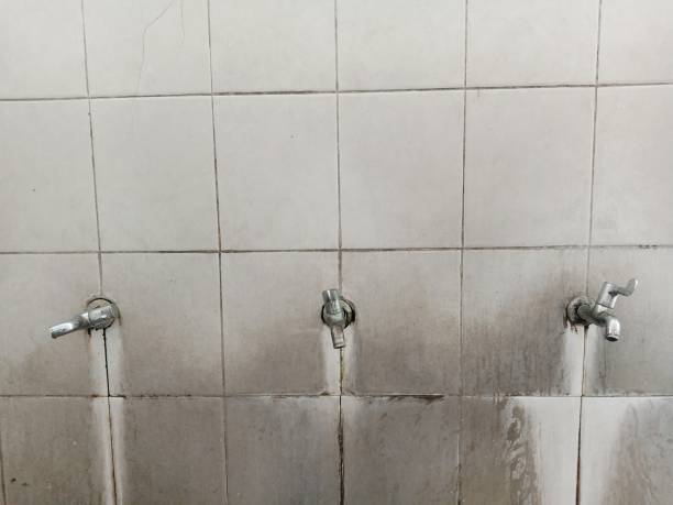 Best Local water damage restoration  in Whitesburg, KY