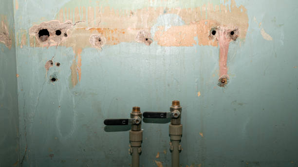 Best 24/7 water damage repair  in Whitesburg, KY