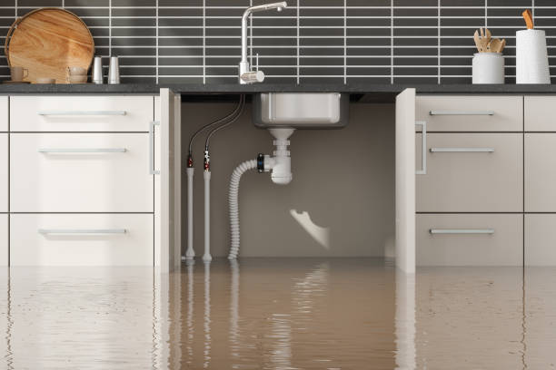 Best Mold removal after water damage  in Whitesburg, KY