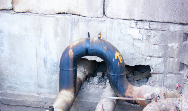 Best Water damage restoration near me  in Whitesburg, KY