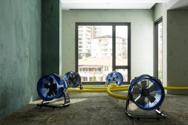 Best Emergency water damage restoration  in Whitesburg, KY